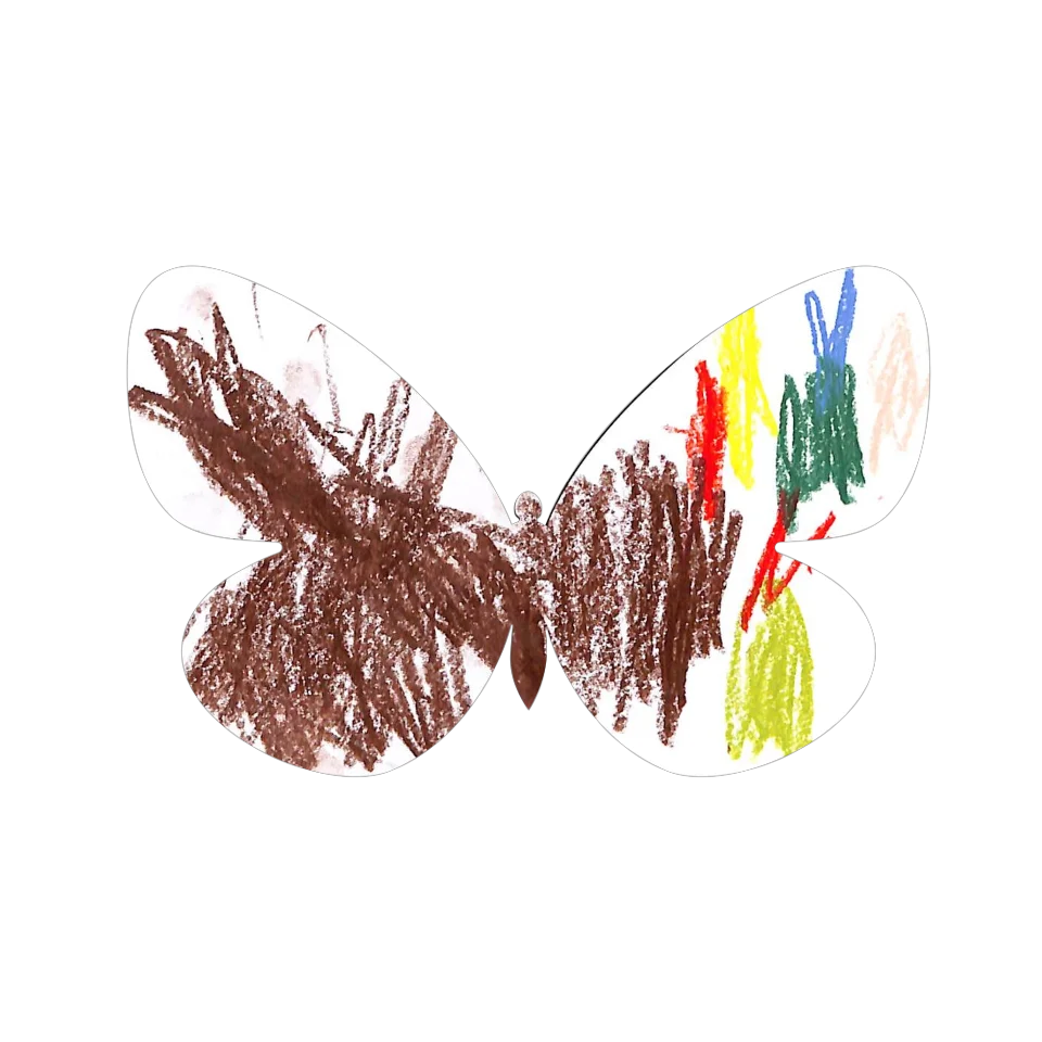 Original Butterfly Image