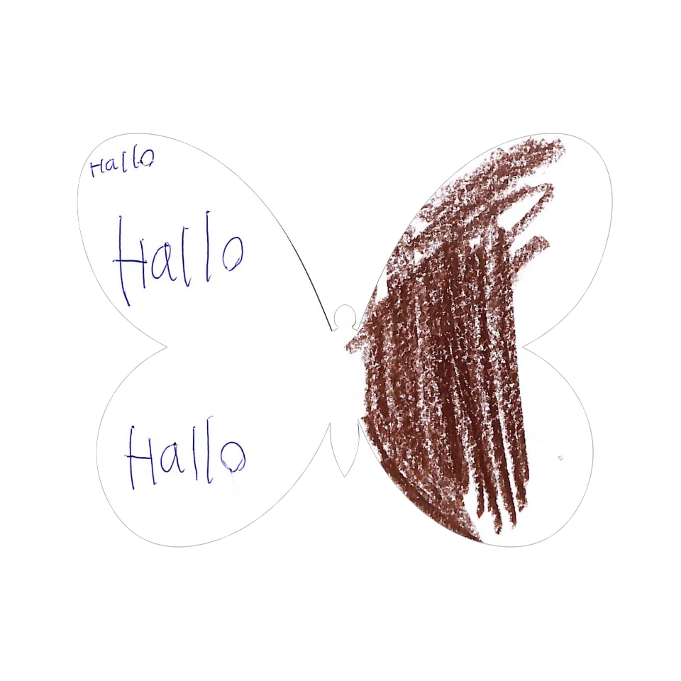 Original Butterfly Image