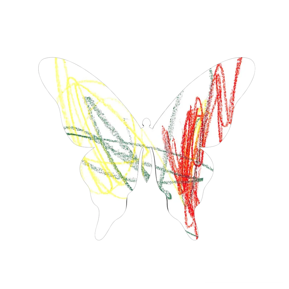 Original Butterfly Image