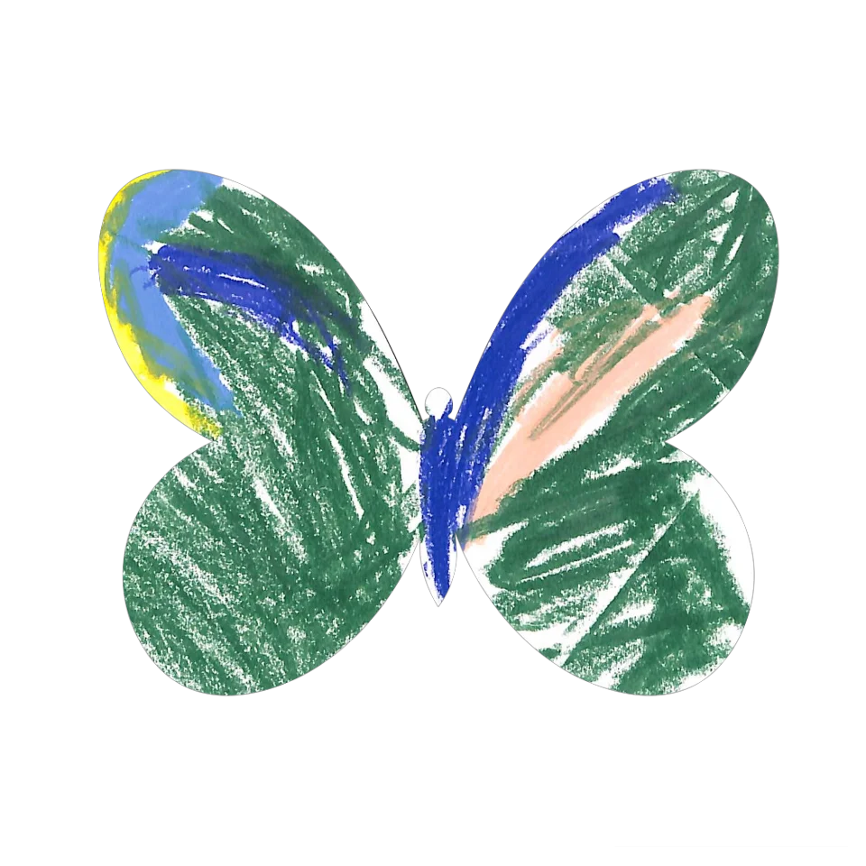 Original Butterfly Image