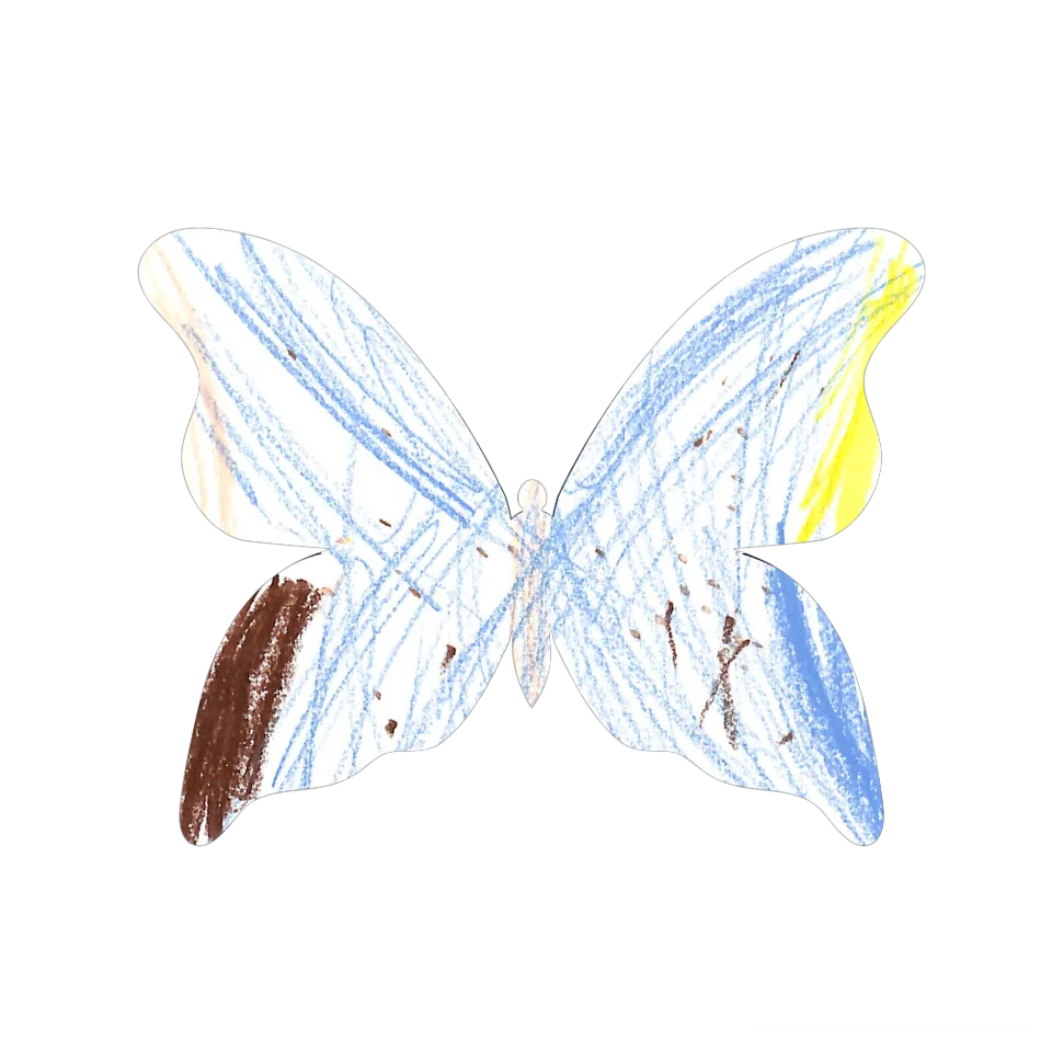 Original Butterfly Image