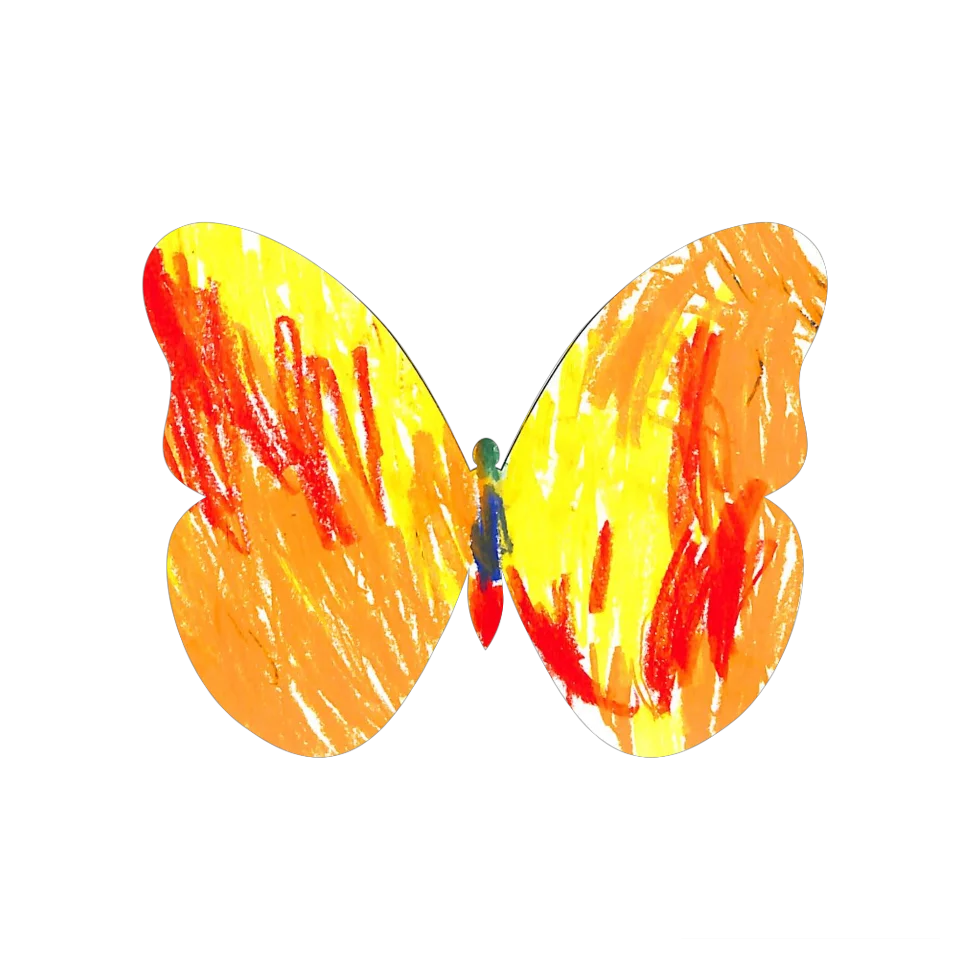 Original Butterfly Image