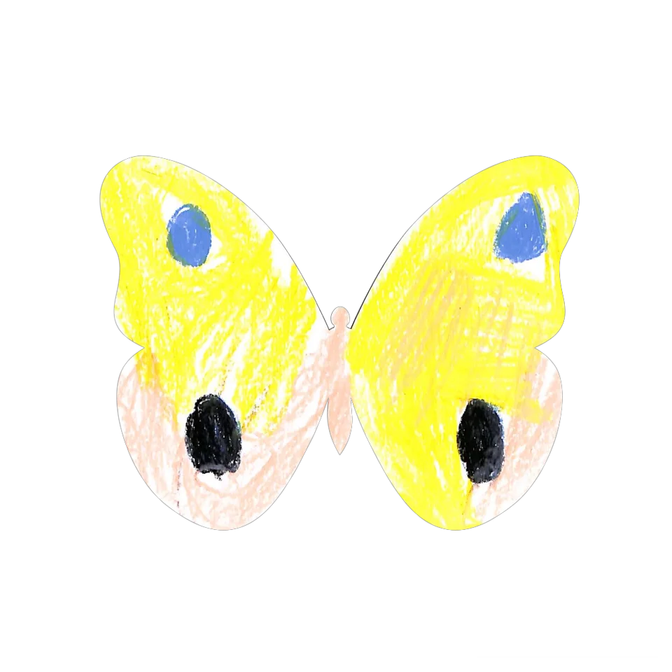 Original Butterfly Image