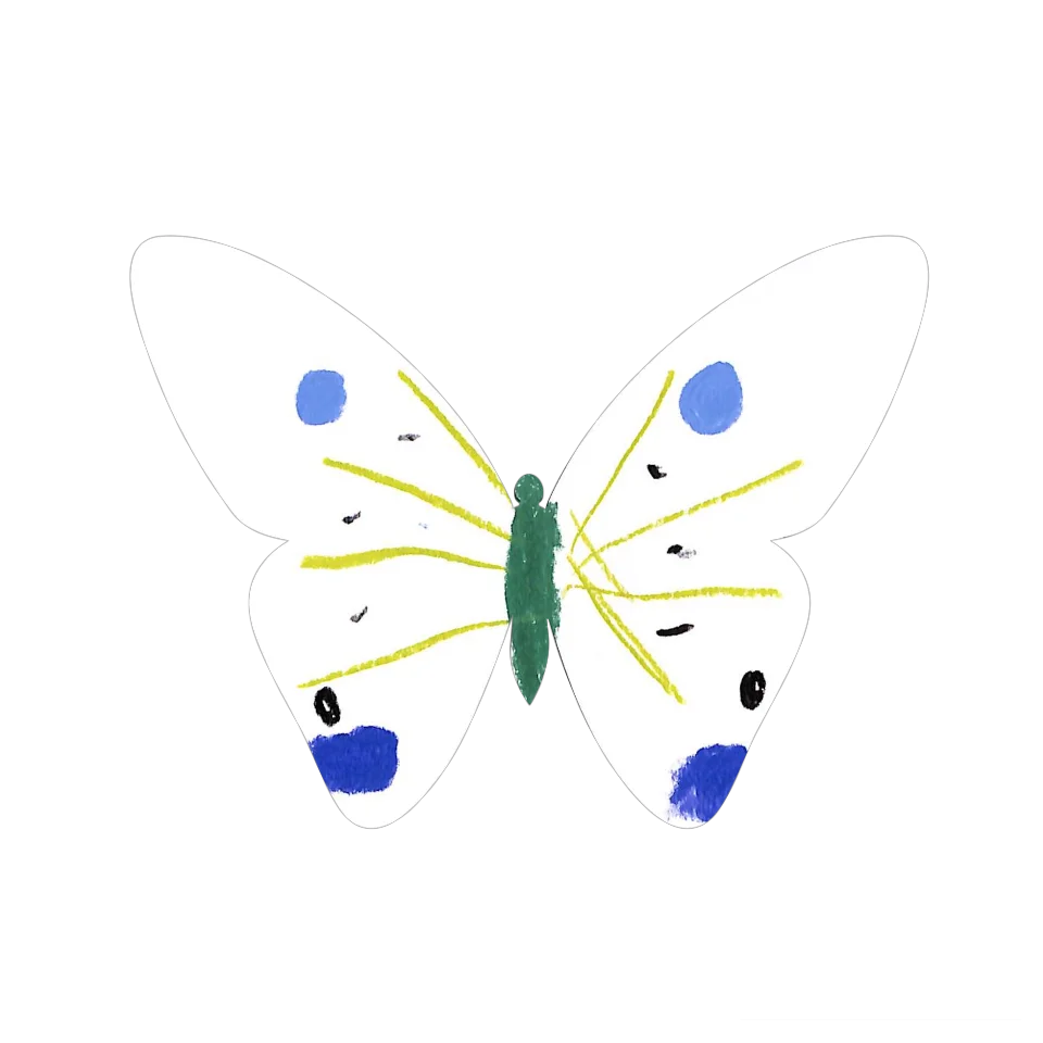 Original Butterfly Image
