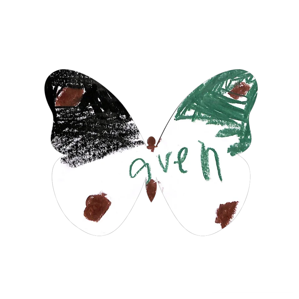 Original Butterfly Image