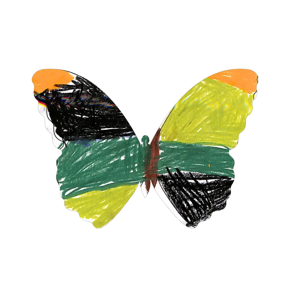 Original Butterfly Image