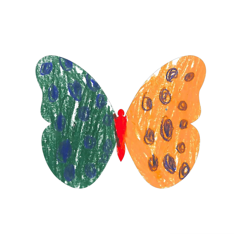 Original Butterfly Image