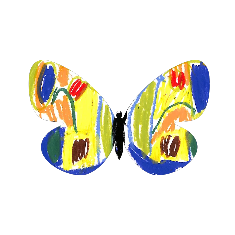 Original Butterfly Image