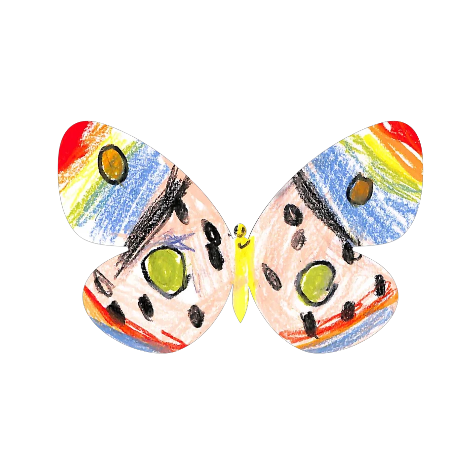 Original Butterfly Image