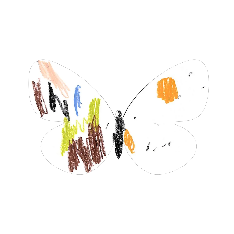 Original Butterfly Image