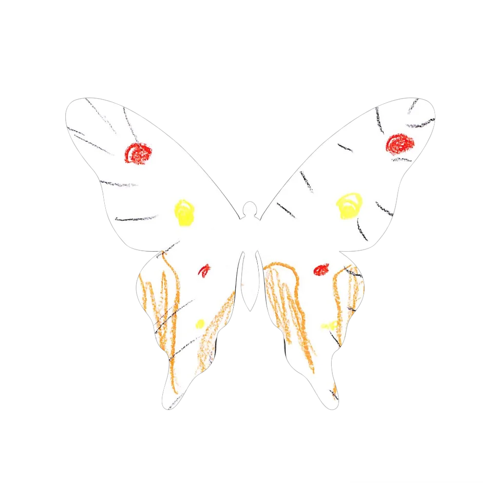 Original Butterfly Image