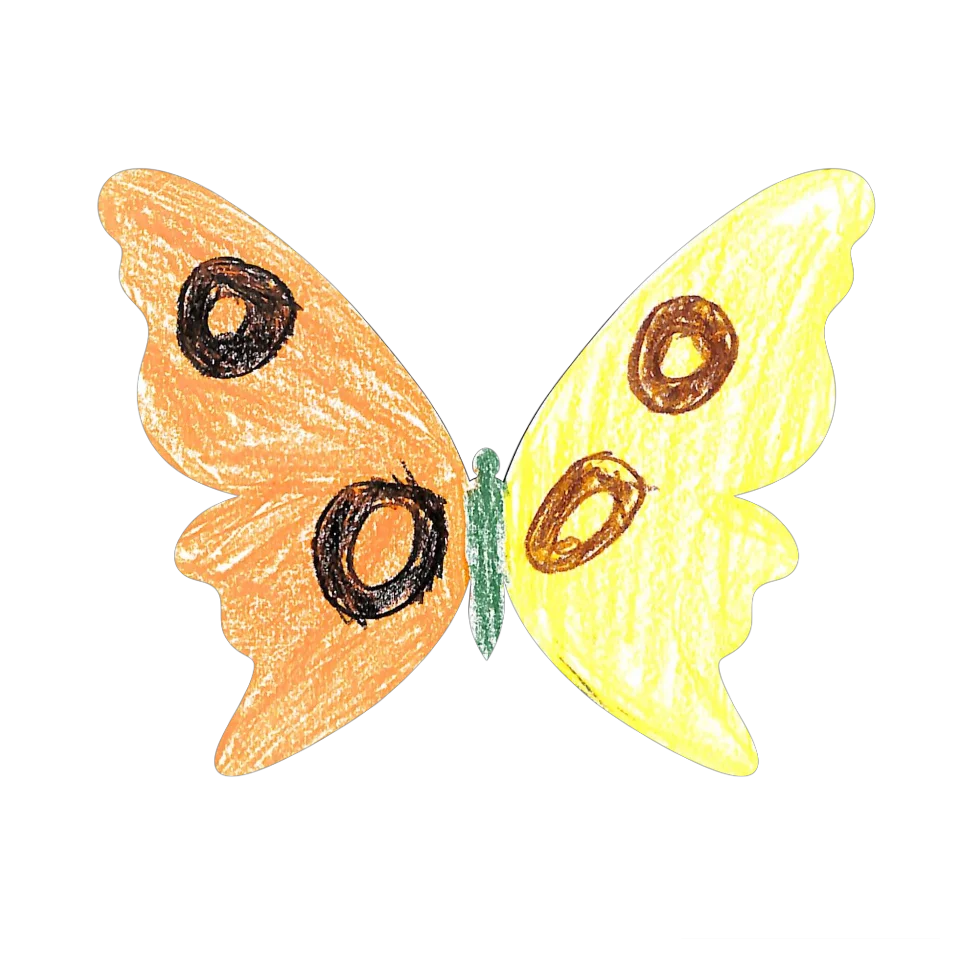 Original Butterfly Image