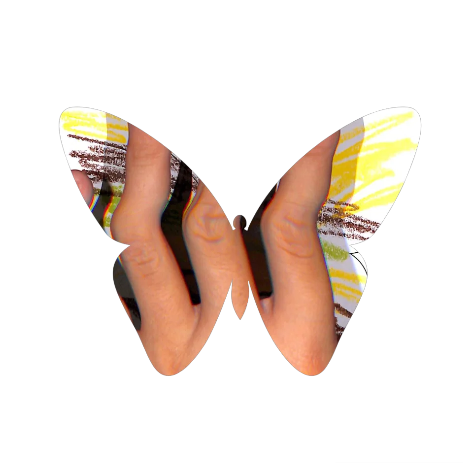 Original Butterfly Image