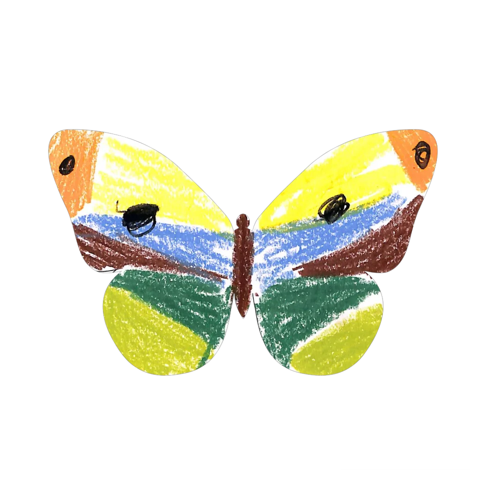Original Butterfly Image