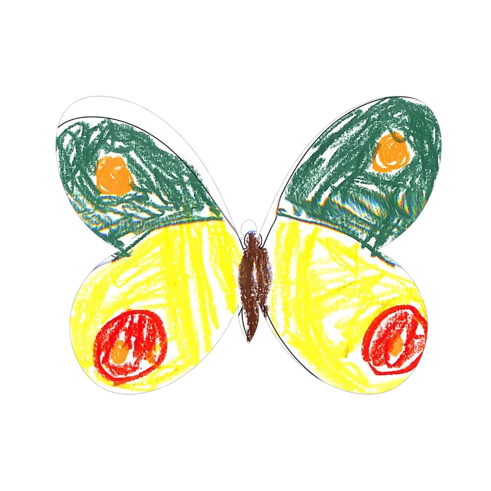 Original Butterfly Image