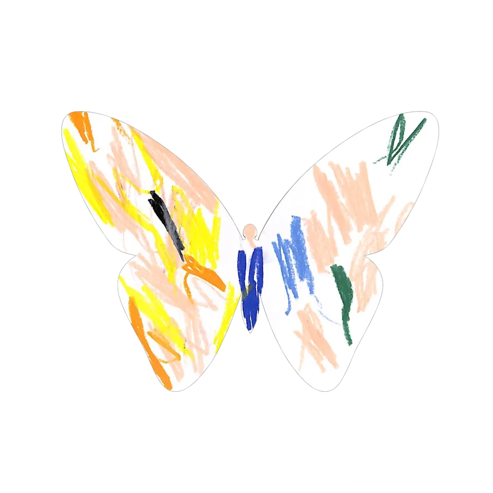 Original Butterfly Image