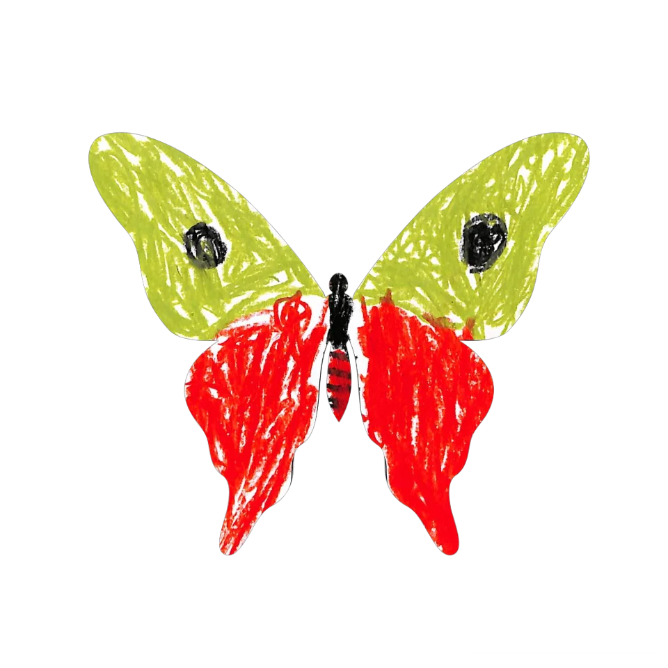 Original Butterfly Image