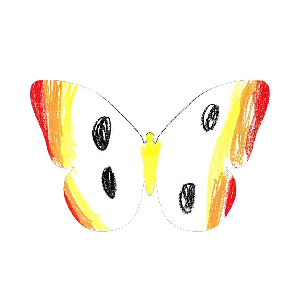 Original Butterfly Image