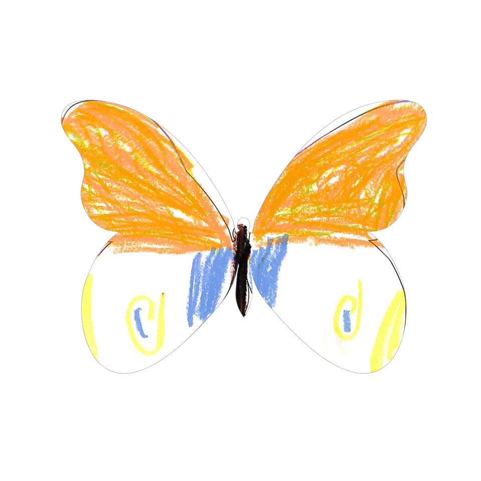 Original Butterfly Image