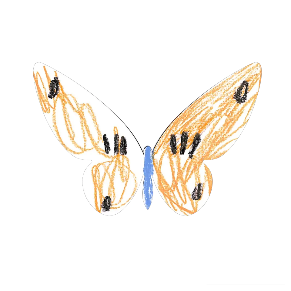 Original Butterfly Image