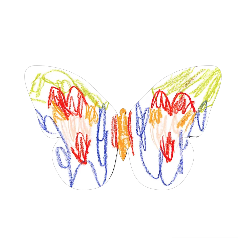 Original Butterfly Image