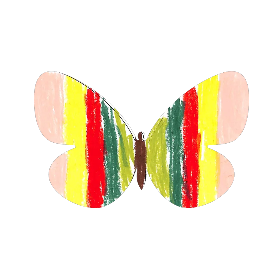 Original Butterfly Image
