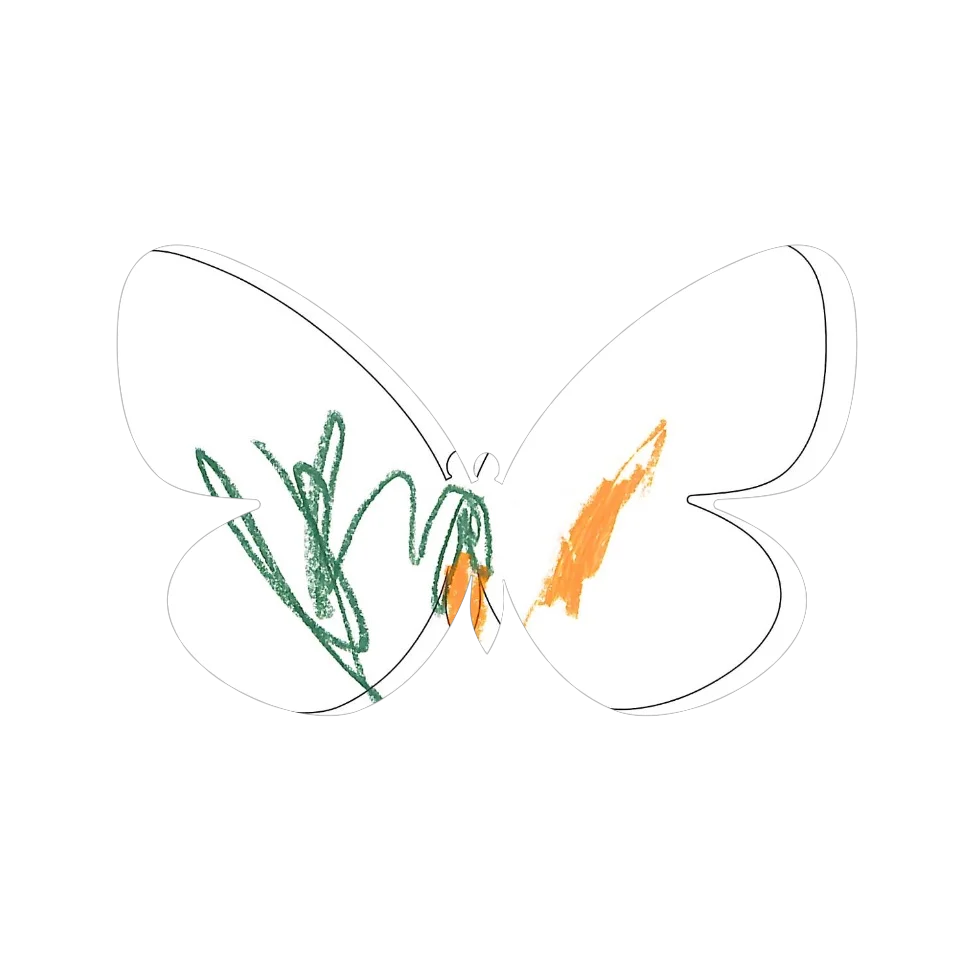 Original Butterfly Image