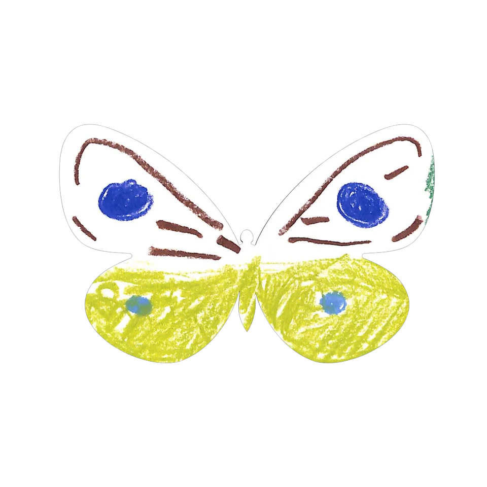 Original Butterfly Image