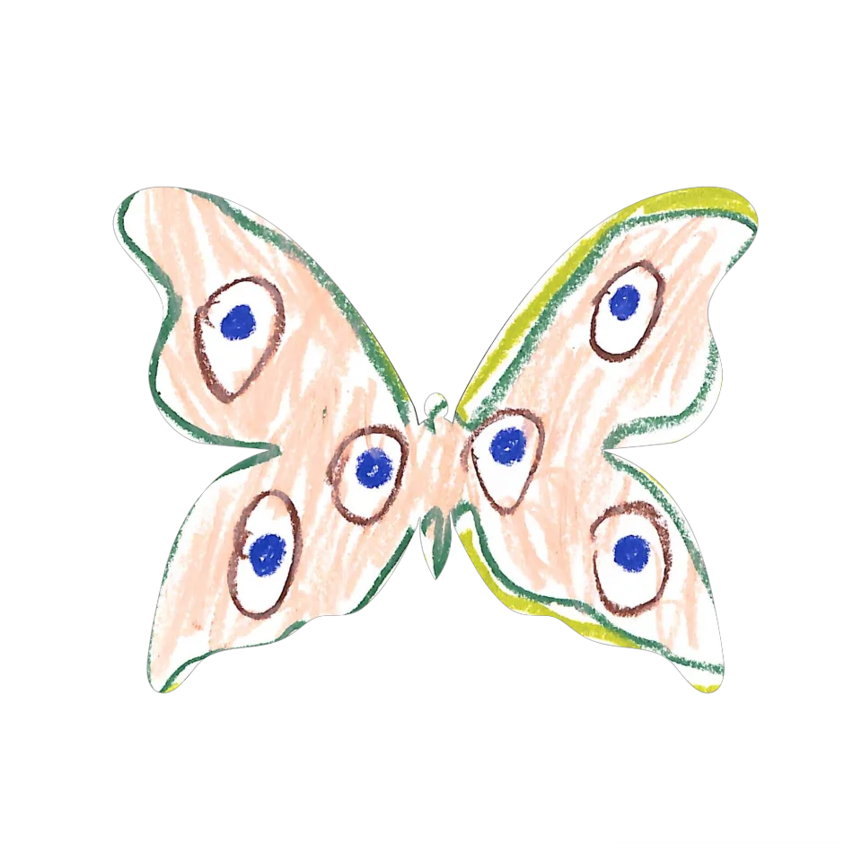 Original Butterfly Image