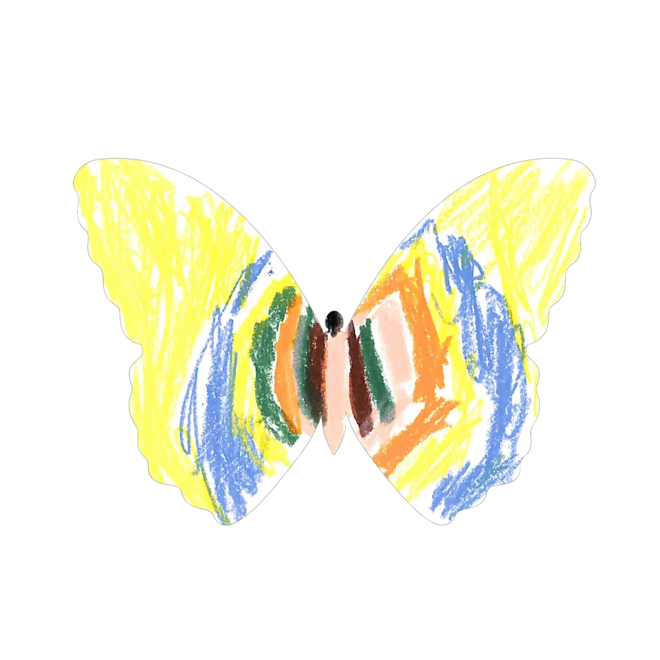 Original Butterfly Image