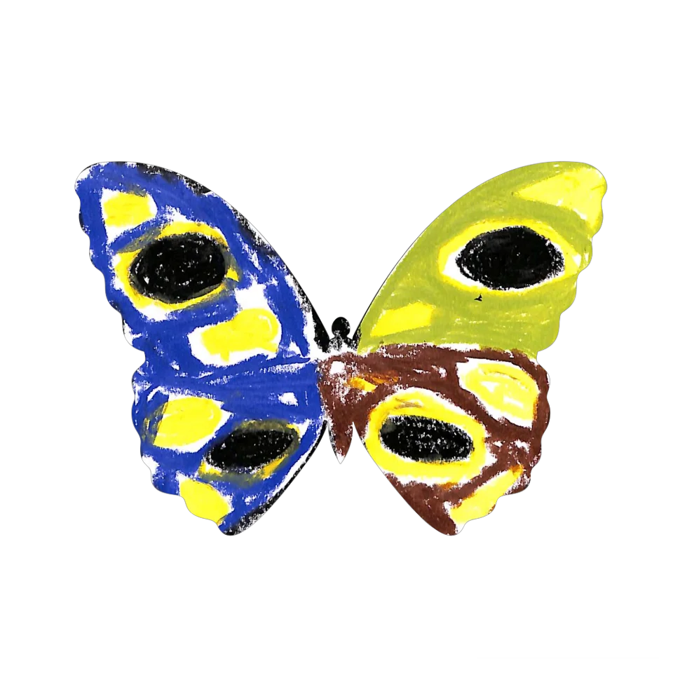 Original Butterfly Image