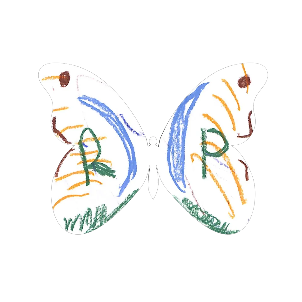 Original Butterfly Image