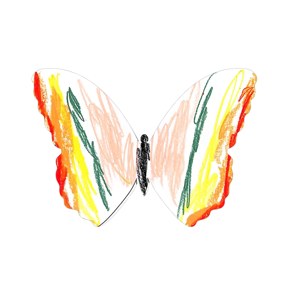 Original Butterfly Image