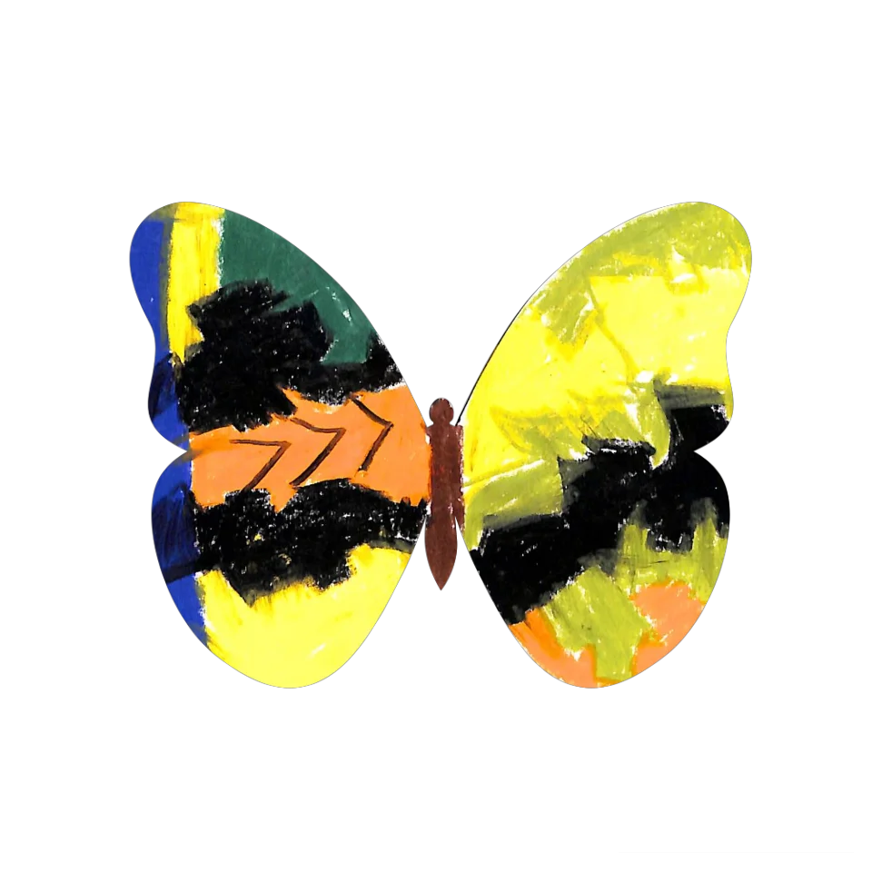 Original Butterfly Image