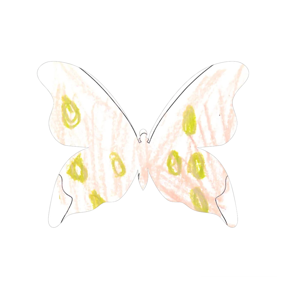 Original Butterfly Image