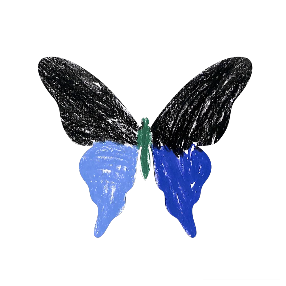 Original Butterfly Image