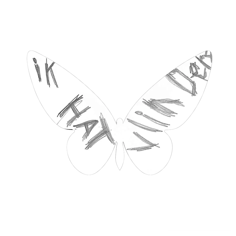 Original Butterfly Image