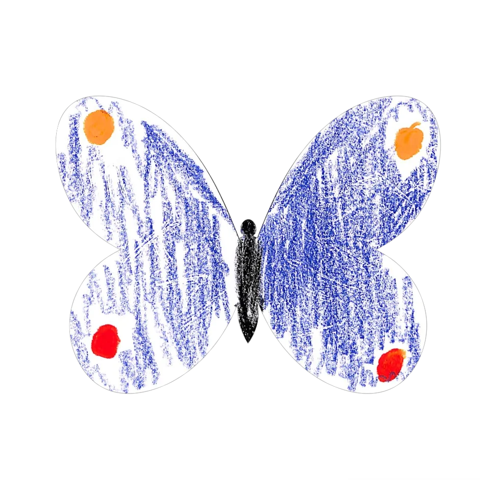 Original Butterfly Image