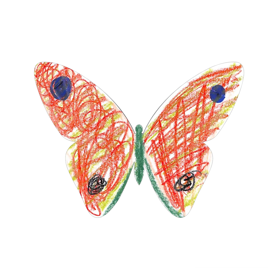 Original Butterfly Image