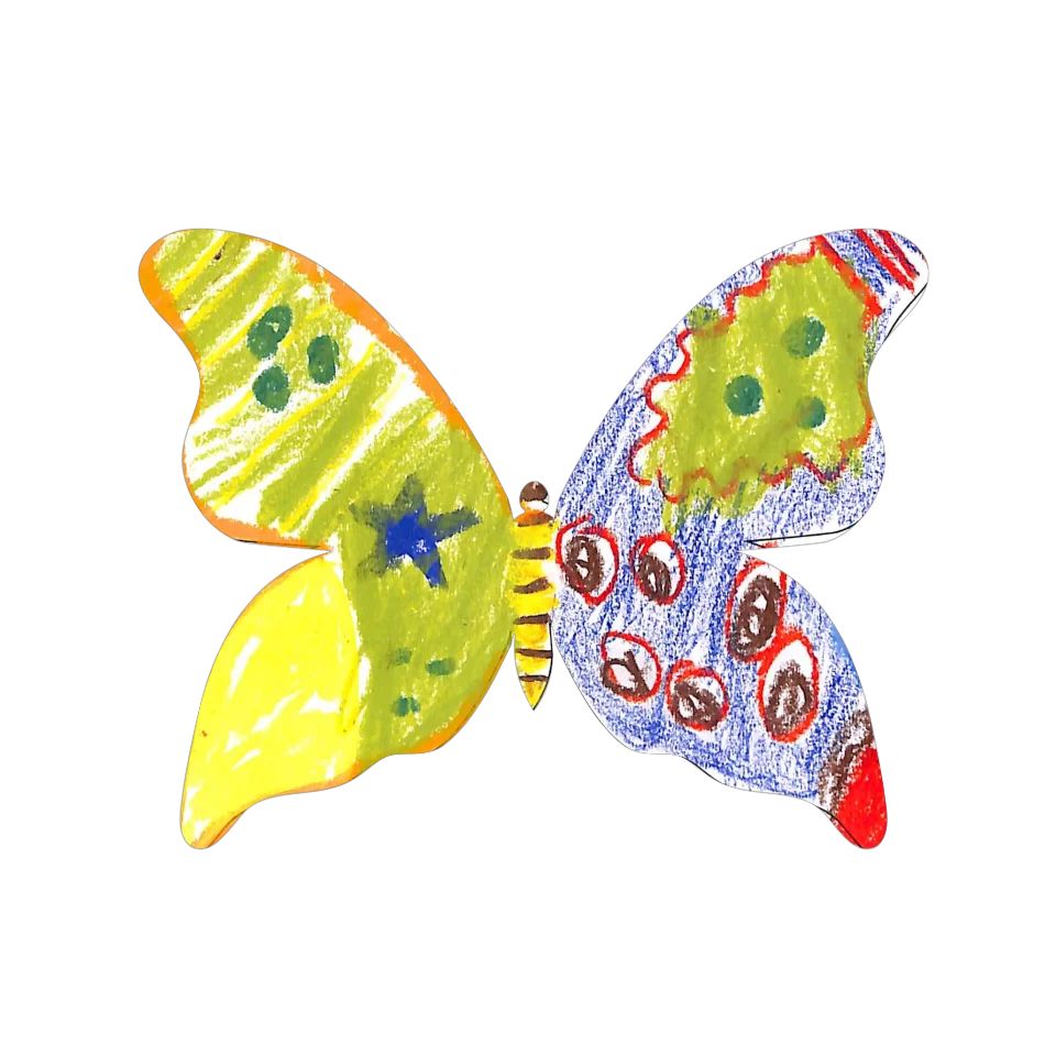 Original Butterfly Image
