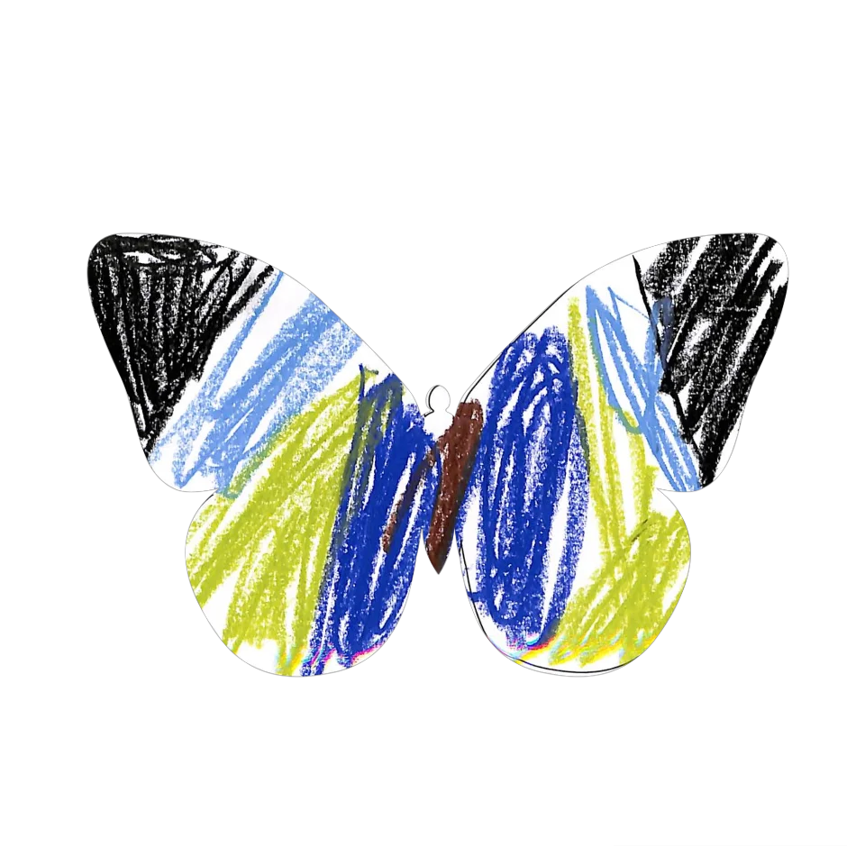 Original Butterfly Image