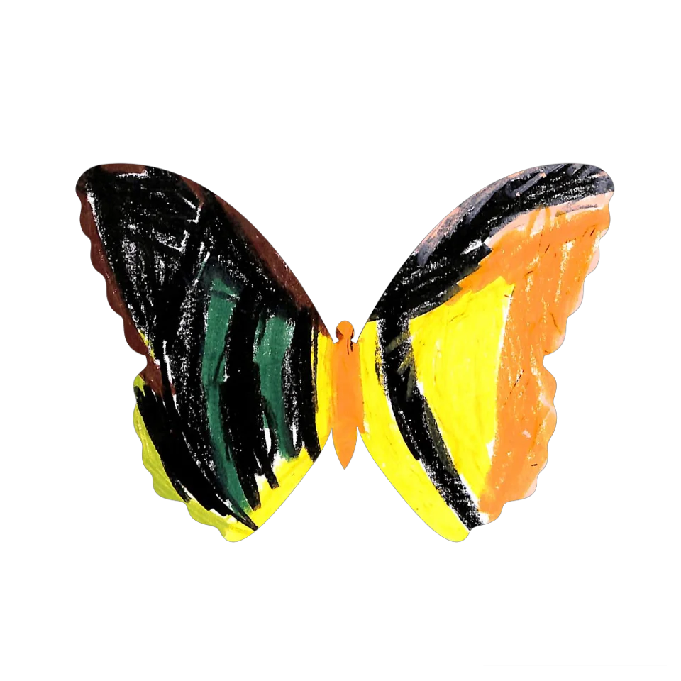 Original Butterfly Image