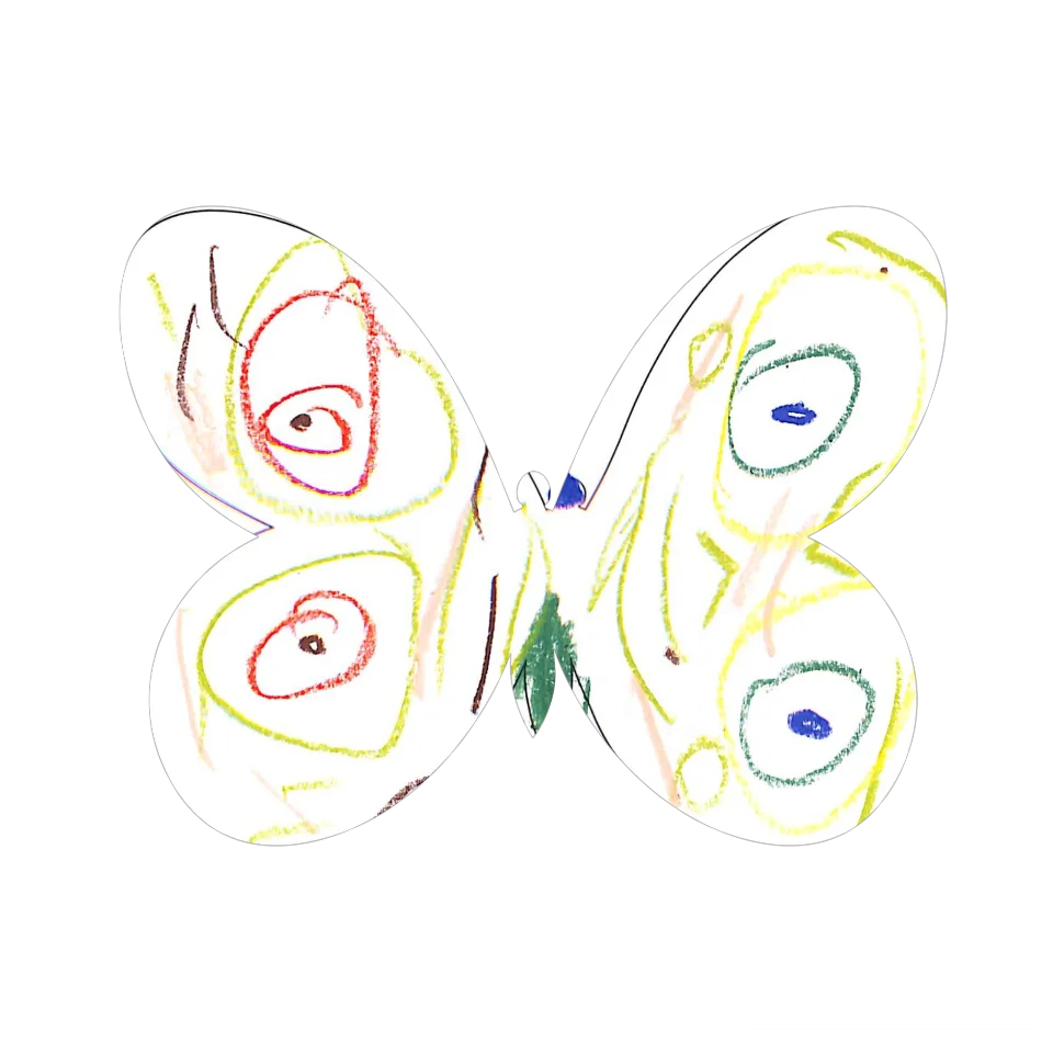Original Butterfly Image