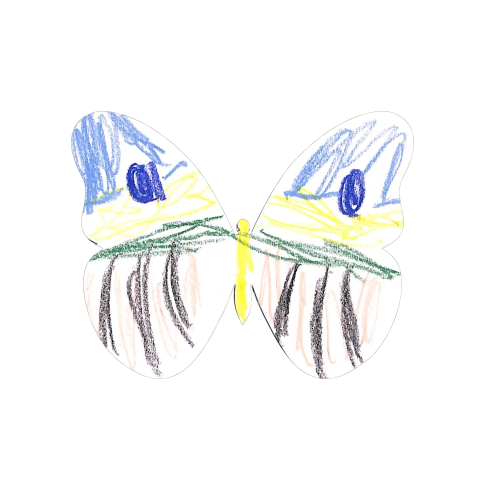 Original Butterfly Image