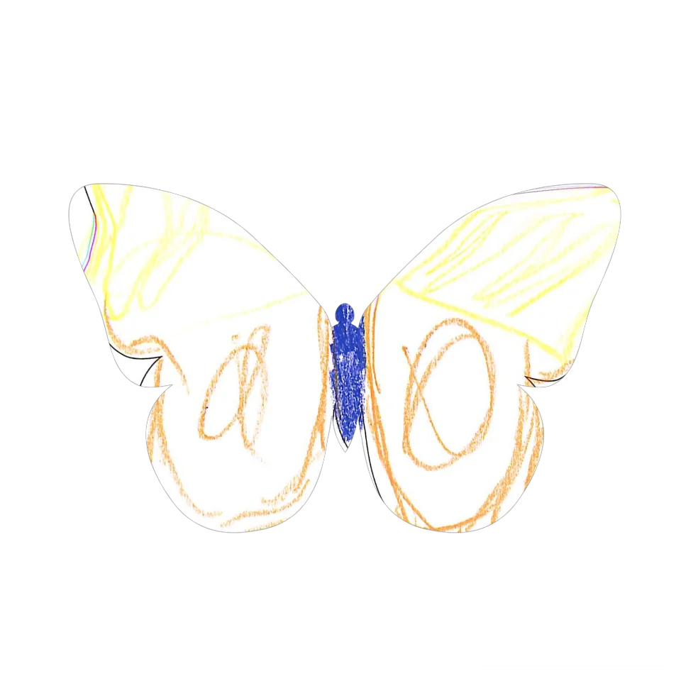 Original Butterfly Image