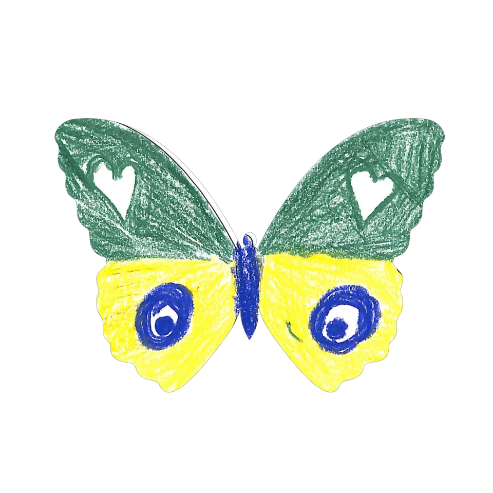Original Butterfly Image