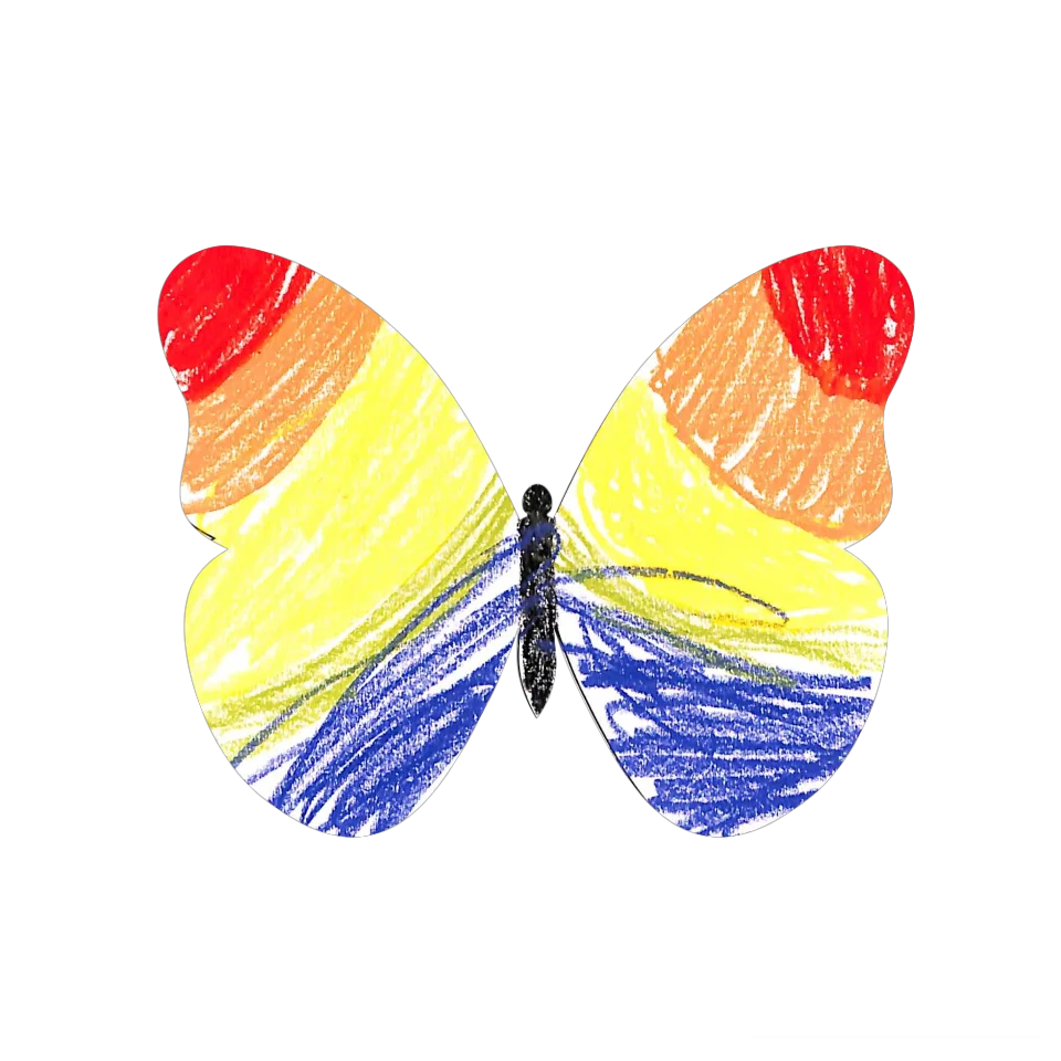 Original Butterfly Image