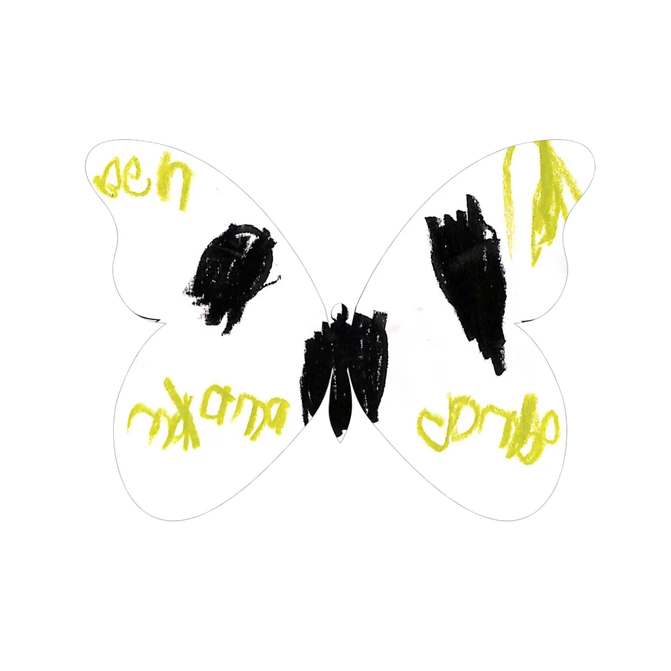 Original Butterfly Image