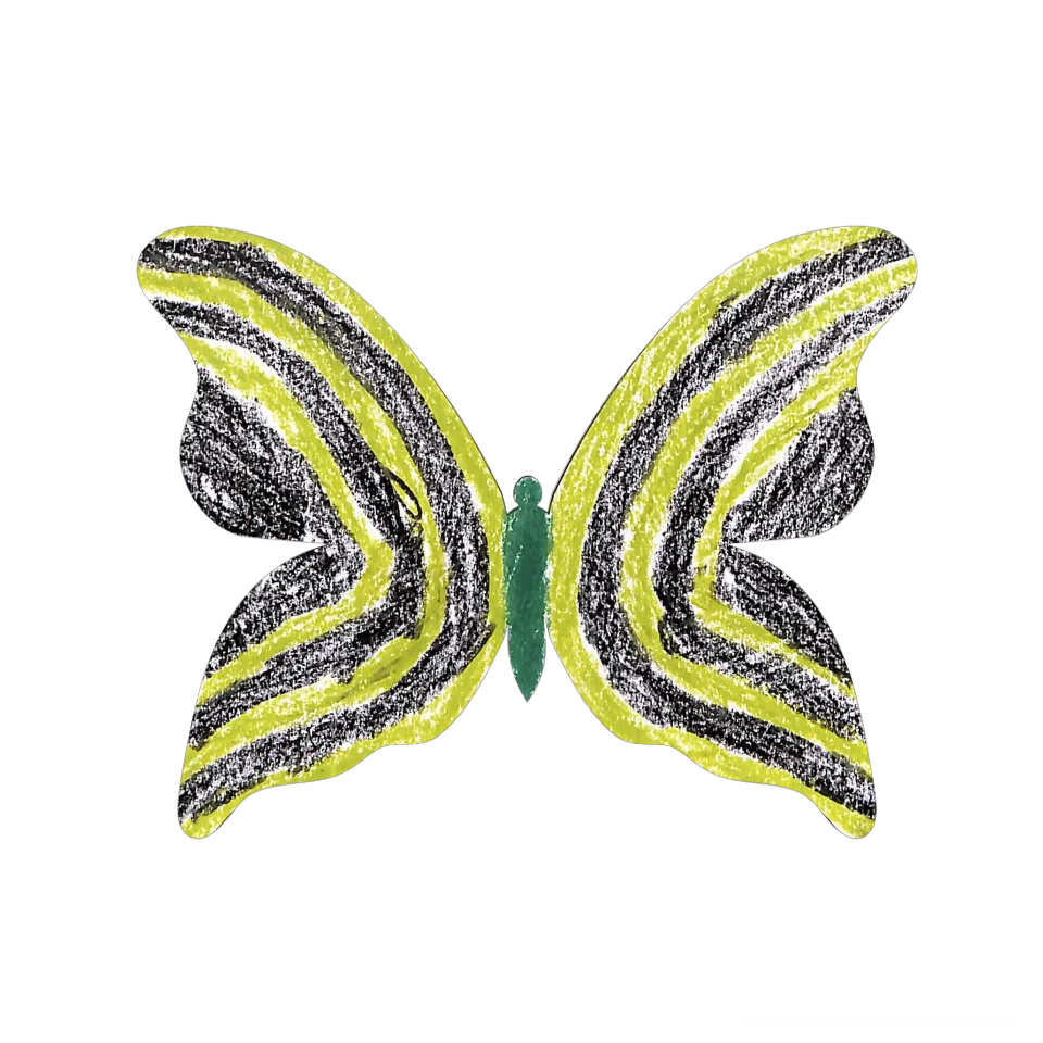 Original Butterfly Image