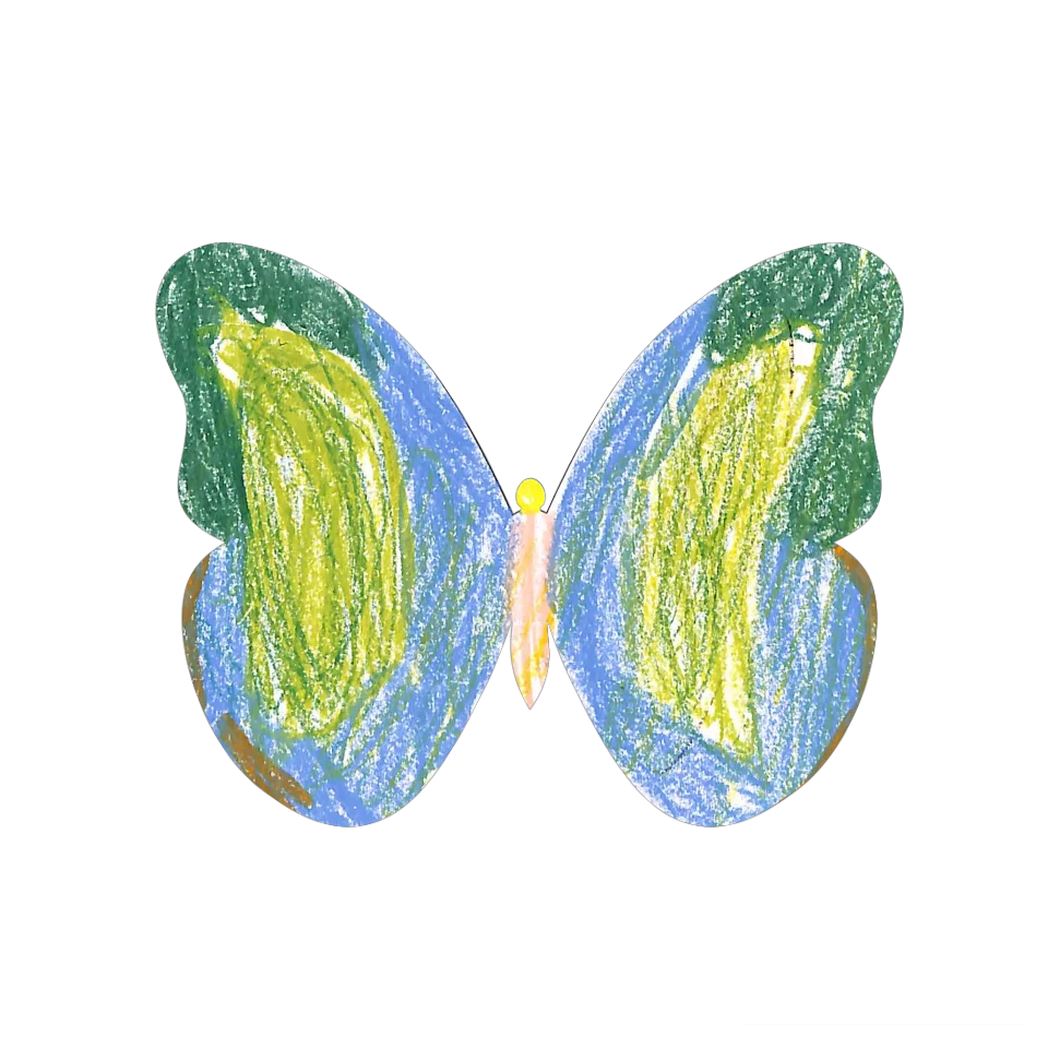 Original Butterfly Image